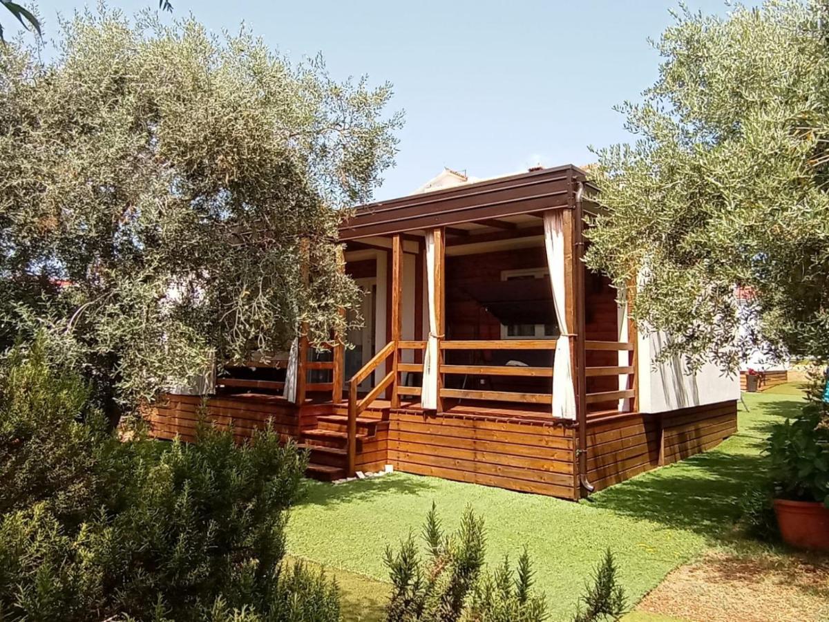 Mobile Homes Olive And Sea 比比涅 外观 照片